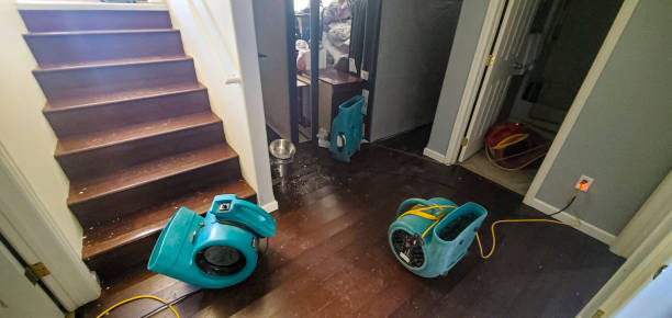 Best Mold removal after water damage  in Poquott, NY