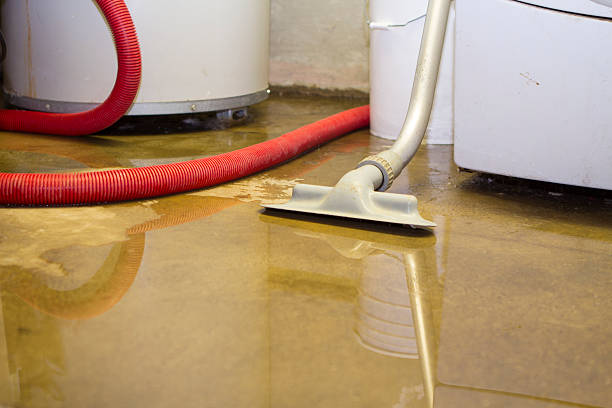Best Water damage restoration near me  in Poquott, NY