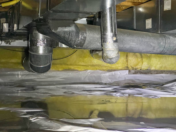 Best Water damage mitigation services  in Poquott, NY
