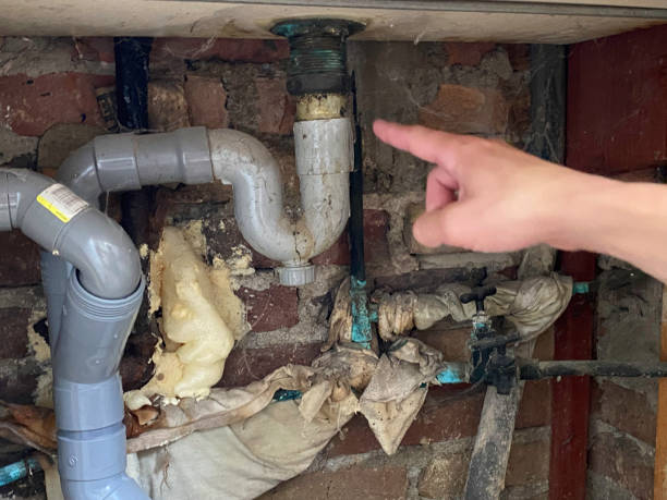 Best Basement water damage restoration  in Poquott, NY